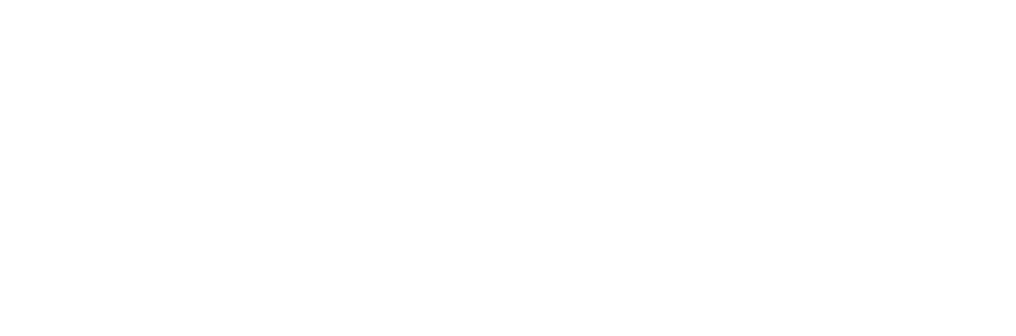 51WORLD